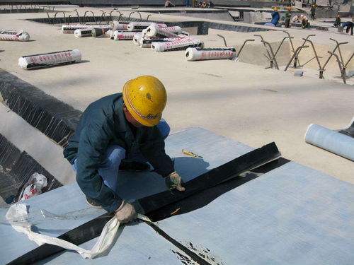 tpo pvc單層高分子防水卷材的優(yōu)勢,一定有你不知道的