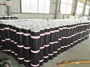 價(jià)格適中的sbs防水卷材,廠家火熱供應(yīng) 西藏自粘改性瀝青sbs防水卷材