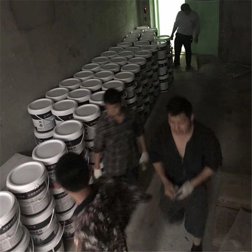 廠家直銷(xiāo)高級(jí)工程防水涂料液體卷材涂膜材料